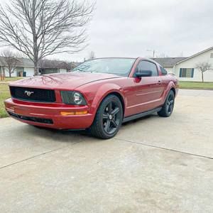 Meet your Posher, Dylan